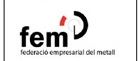 FEM