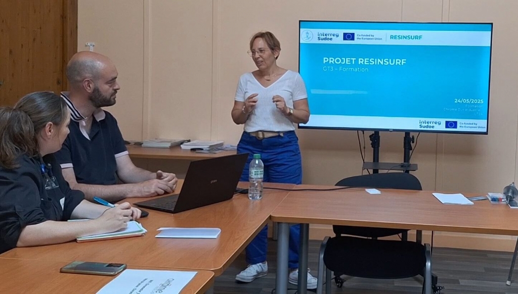 Nueva capacitación: Impulsando la Innovación industrial en el proyecto RESINSURF